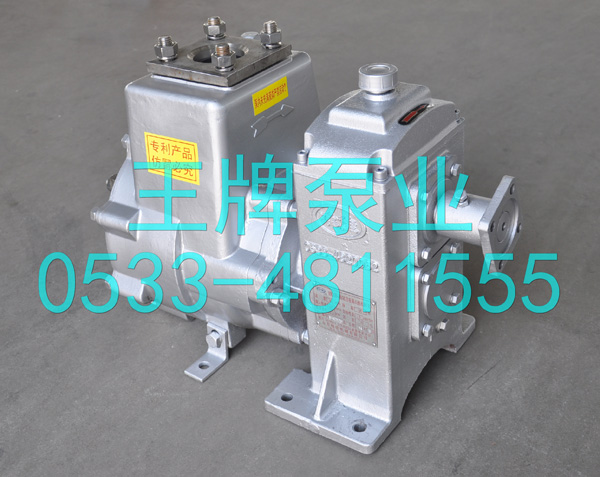 80QSB60/90（不锈钢）